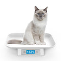 Digital Pet Scale for Small Cats and Animals Grey W737