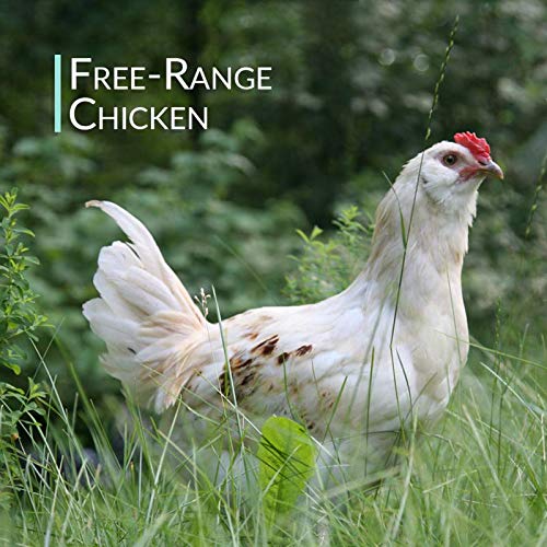 Organic Free Range Chicken Bone Broth Powder 1LB V381