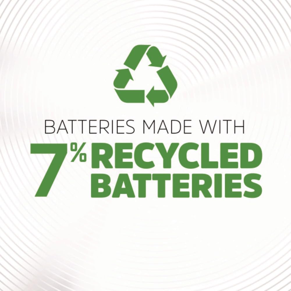 Rechargeable D Batteries 2-Count Pack of 2 E304