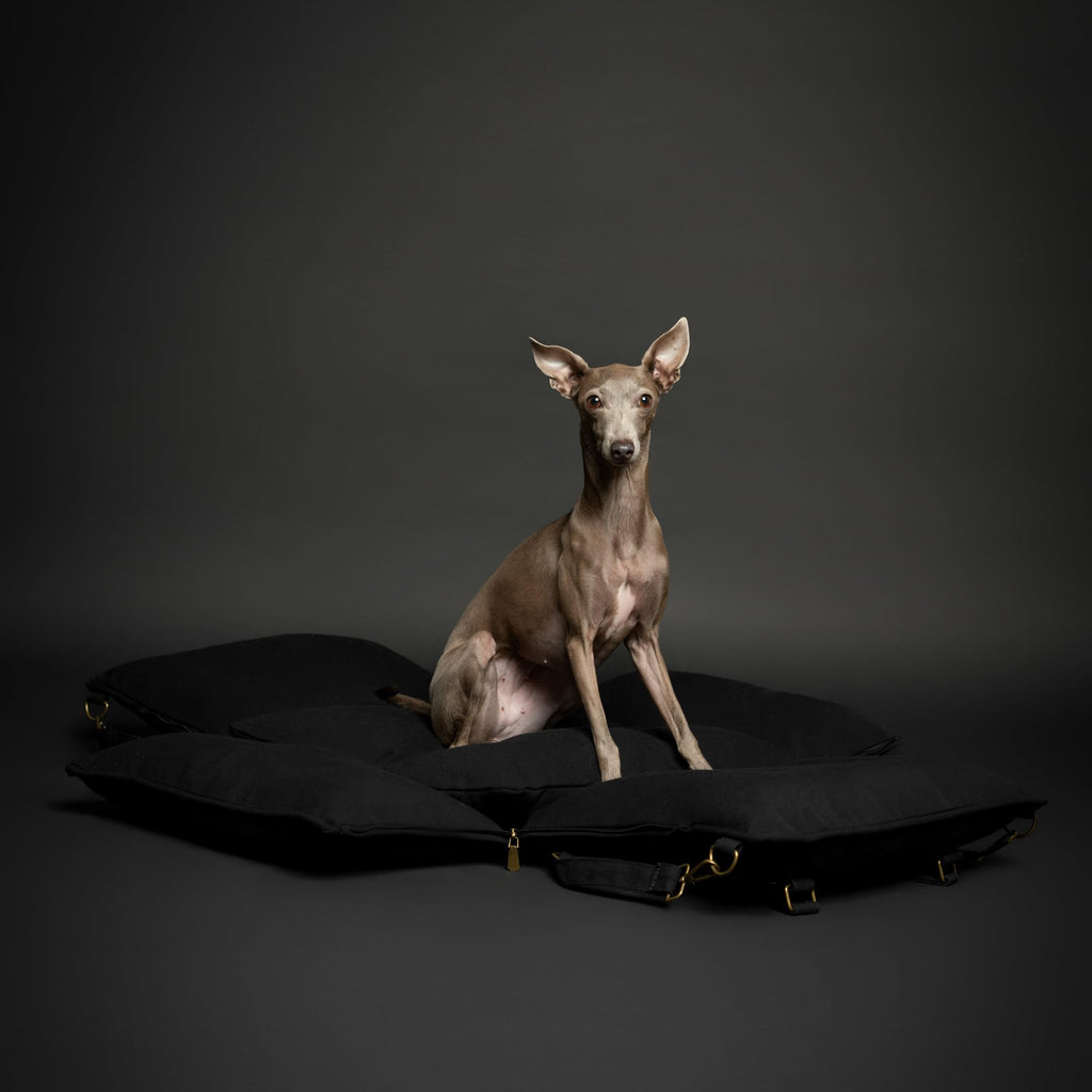 Canvas Dog Car Seat Booster J356