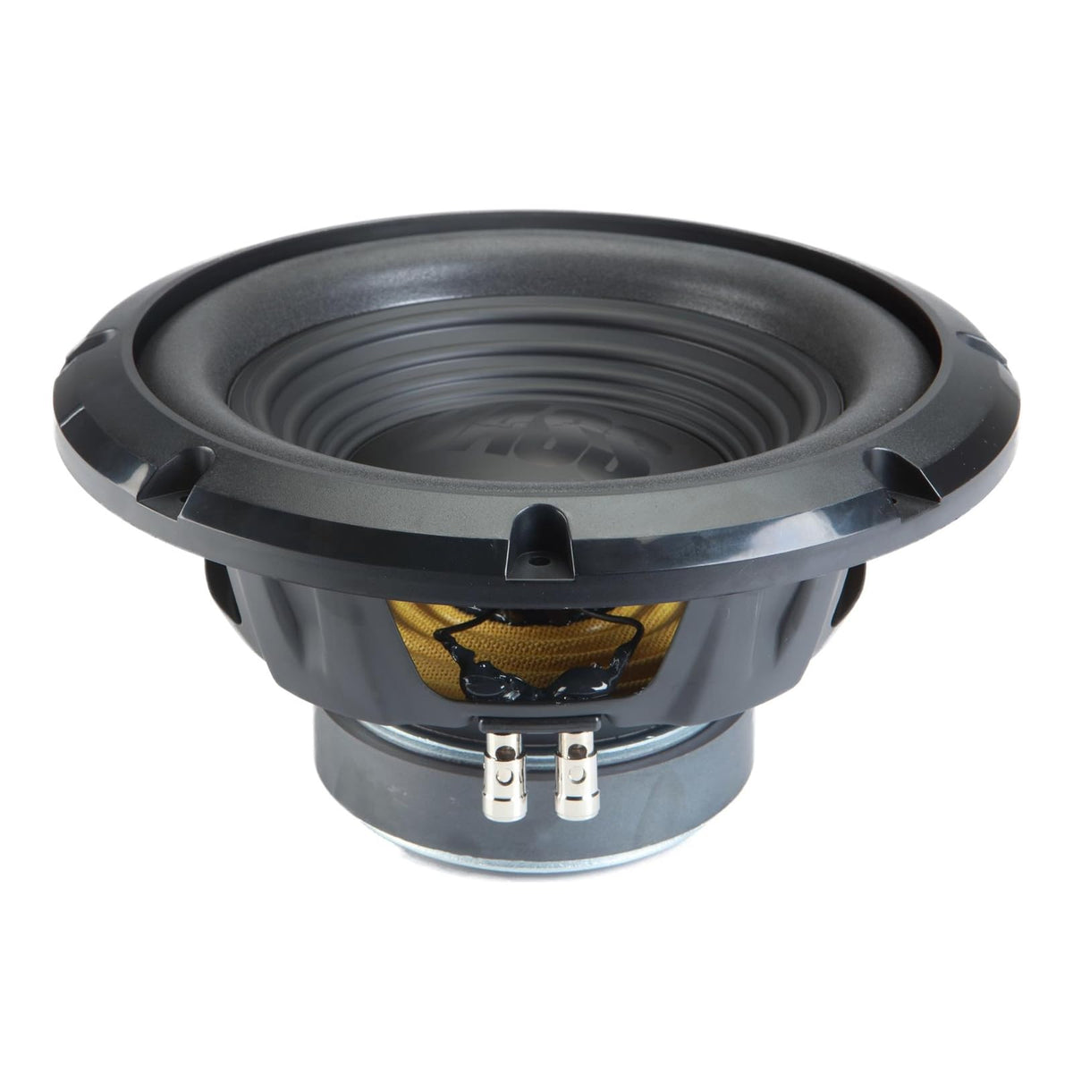 Dual 10 Loaded Sub Box with Amp O448002
