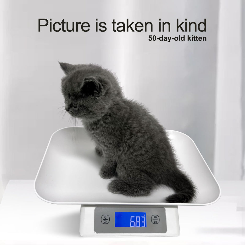 Digital Pet Scale for Small Cats and Animals Grey W737