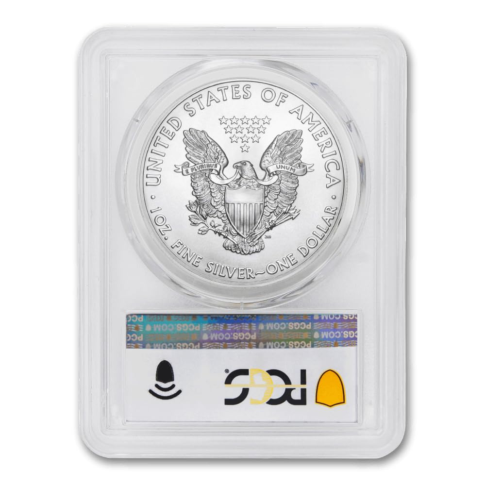 1 oz American Silver Eagle Coin MS-70 S137316