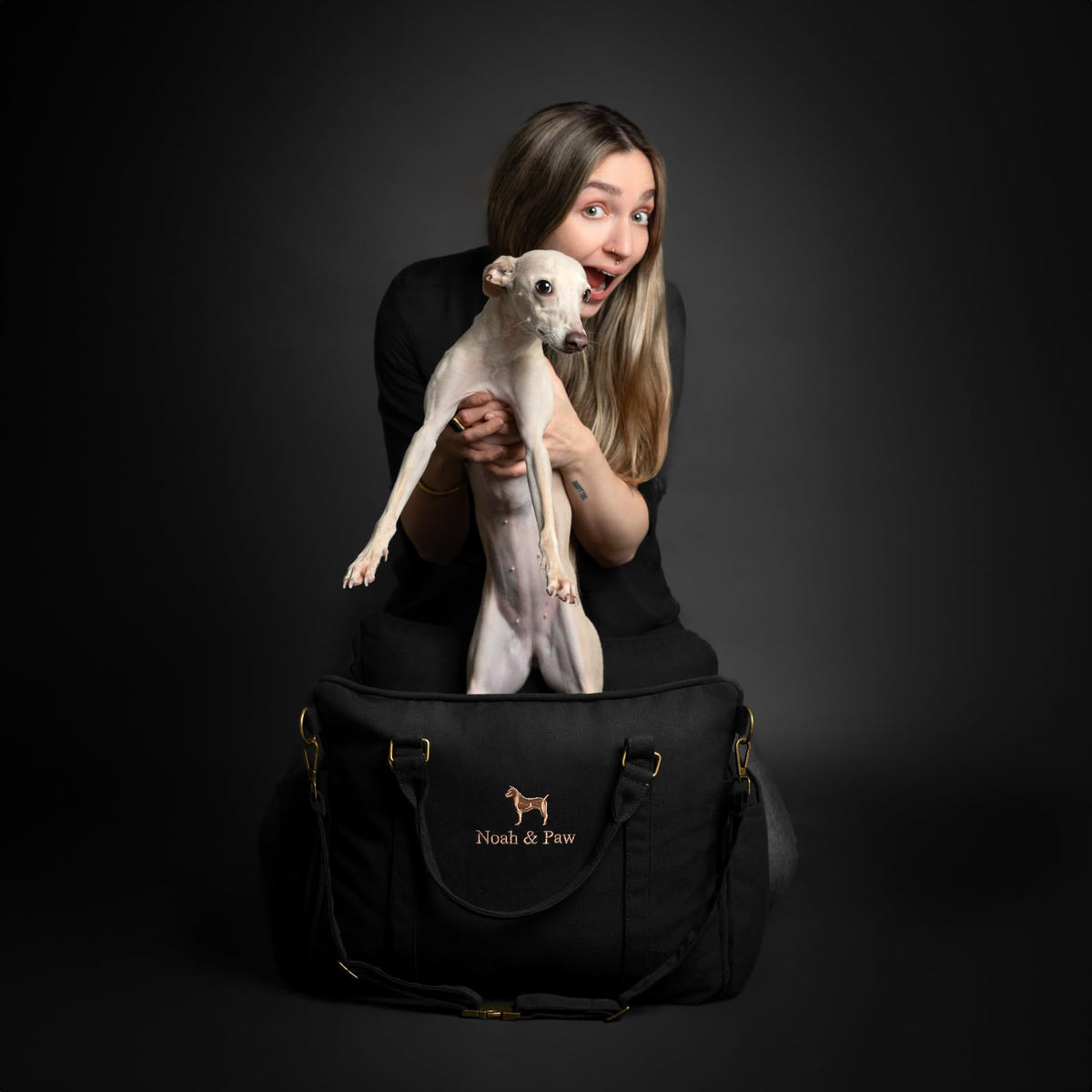 Canvas Dog Car Seat Booster J356
