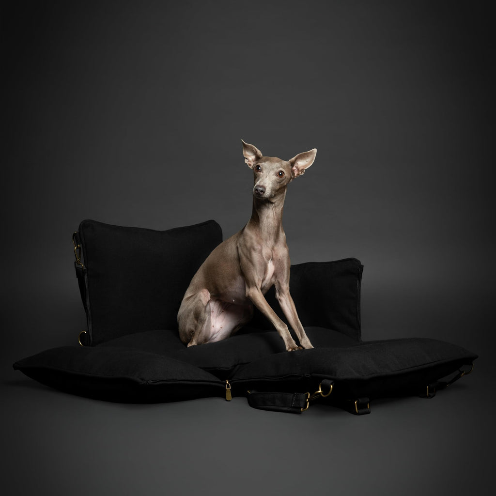 Canvas Dog Car Seat Booster J356