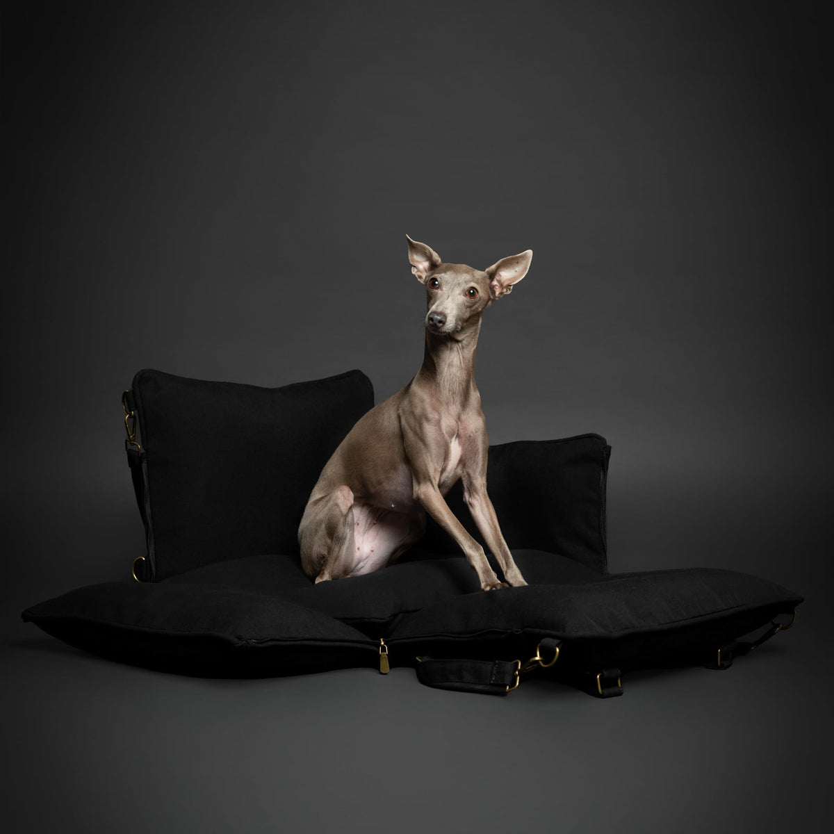 Canvas Dog Car Seat Booster J356