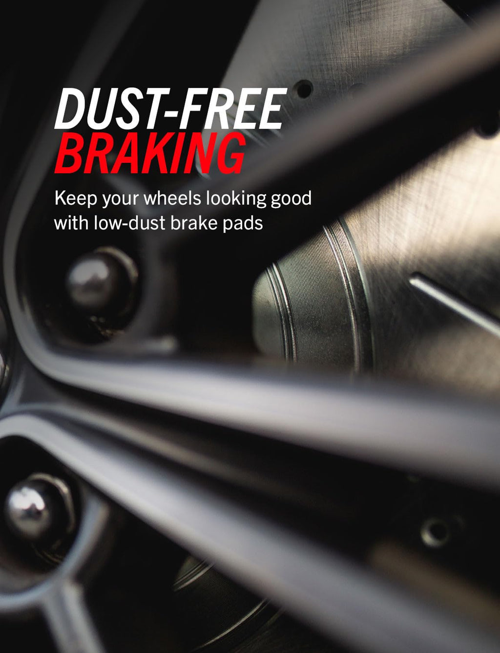 Rear Brake Pad & Rotor Kit L667251