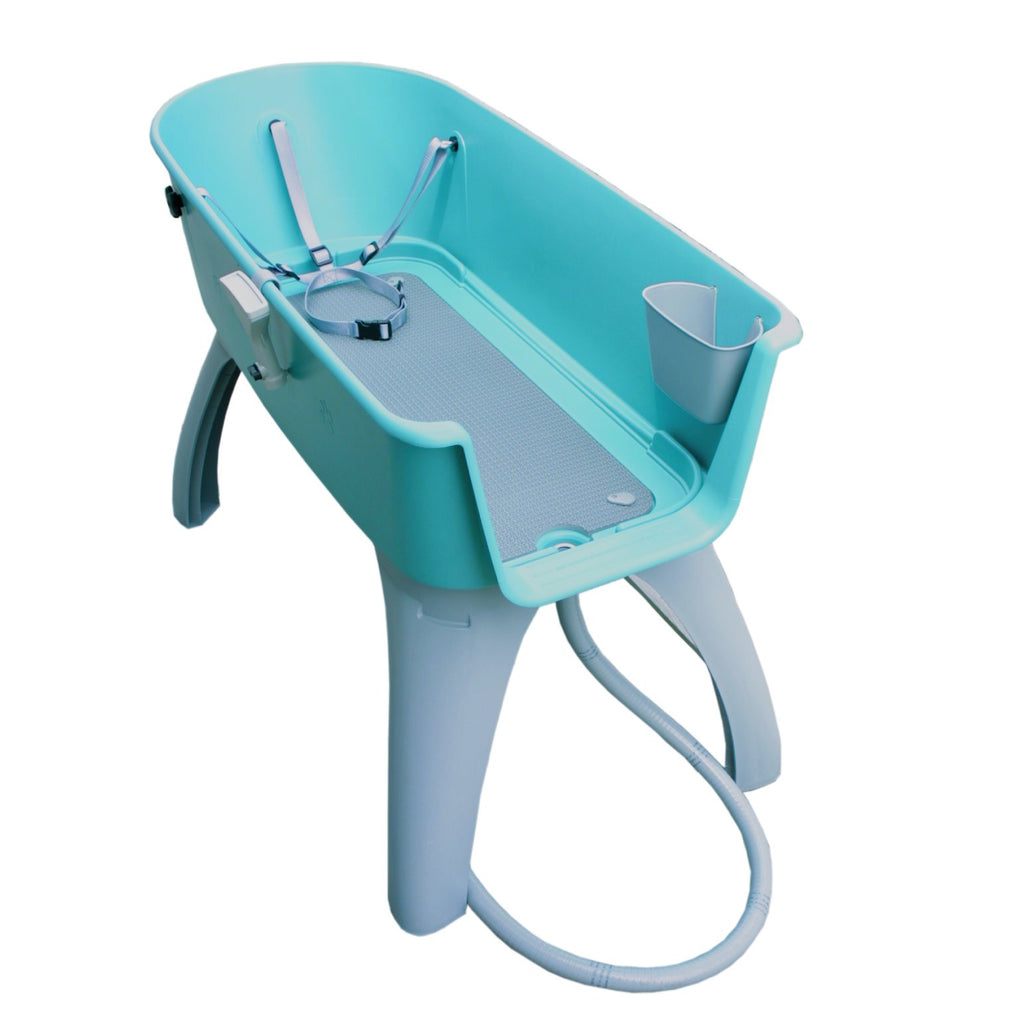 Elevated Pet Bathing X-Large Blue X942