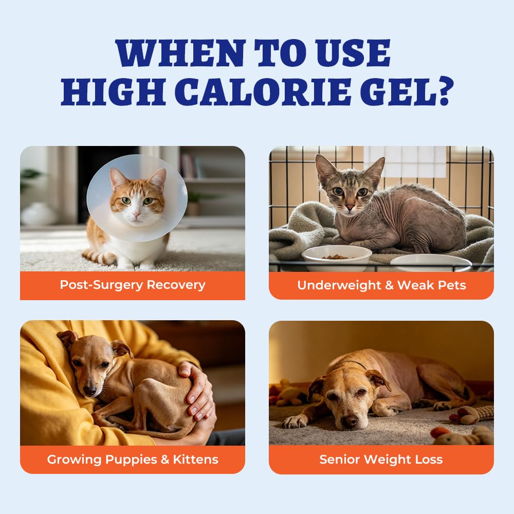 Nutritional Gel with Taurine for Dogs & Cats K849807