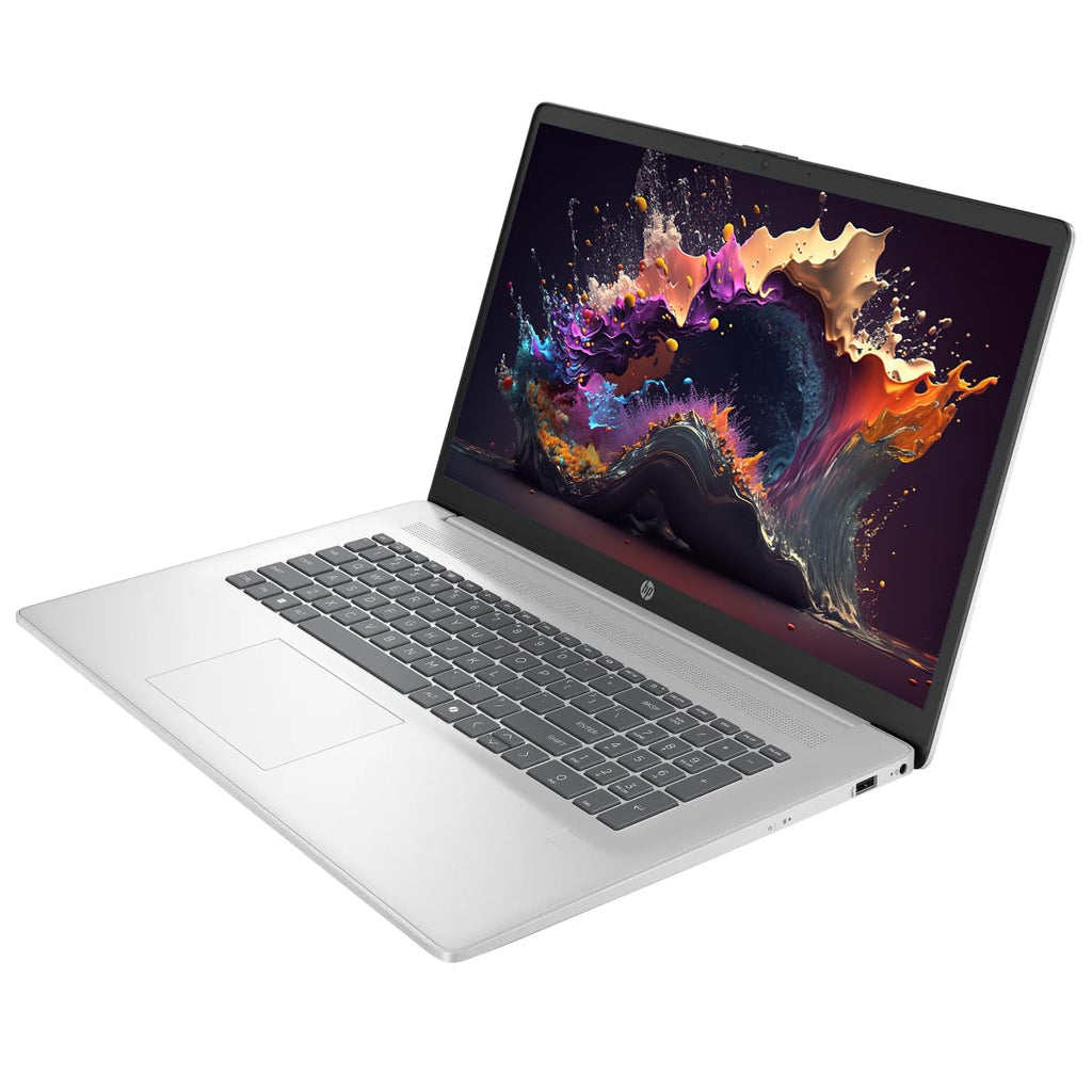 17.3" HD+ Touchscreen Laptop, 16GB RAM 1TB SSD, AMD Ryzen 5, Silver D119582