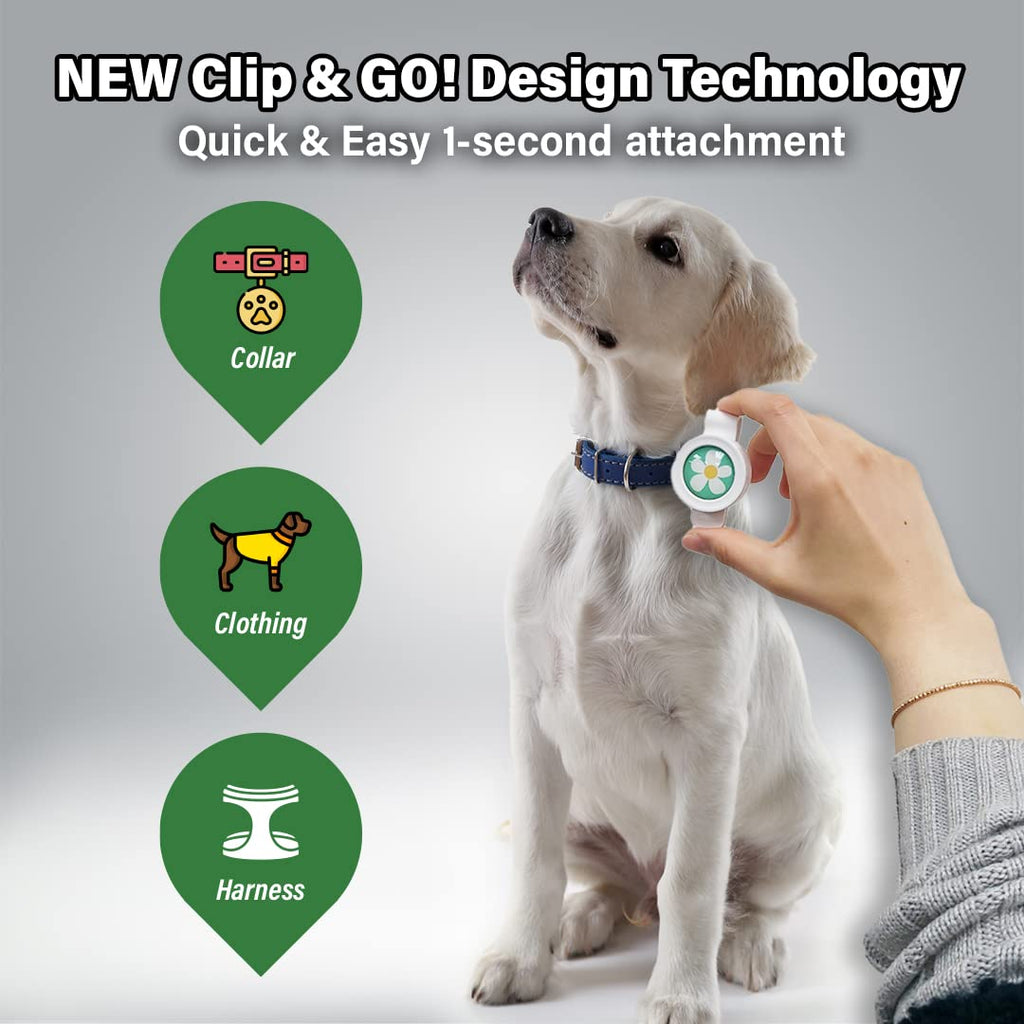 Natural Flea and Tick Repellent Clip for Dogs I682100