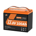 12.8V 100Ah LiFePO4 Deep Cycle Battery J892