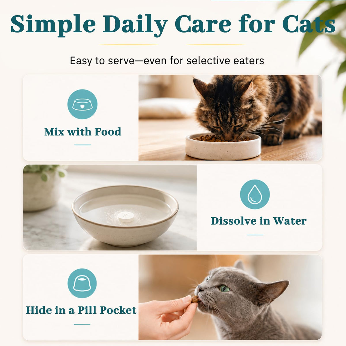 Cat Dental Care Oral Health I39779