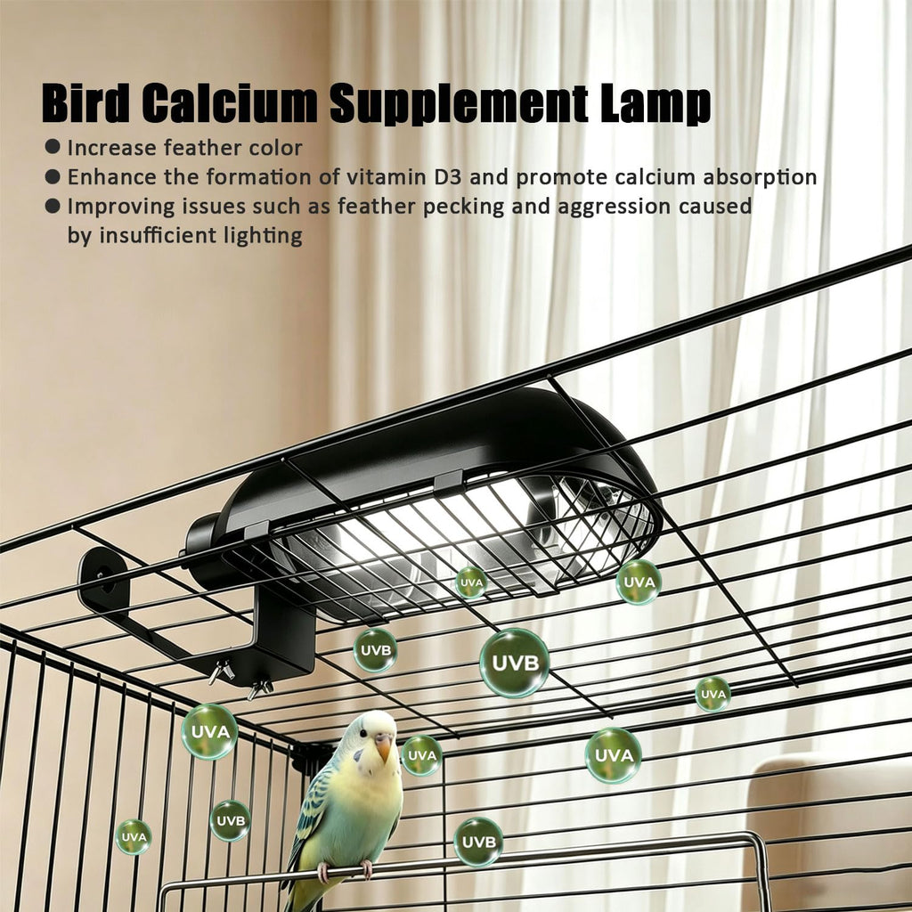 Bird Cage Light Fixture Combo Kit with Bulb V340185