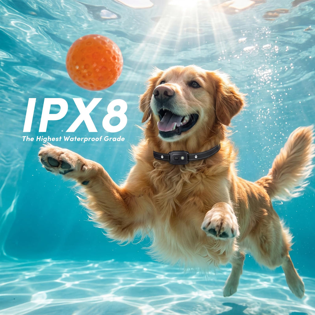 Shock Collar for 2 Dogs, 4 Modes, IPX8 Waterproof Dog Training Collar K941