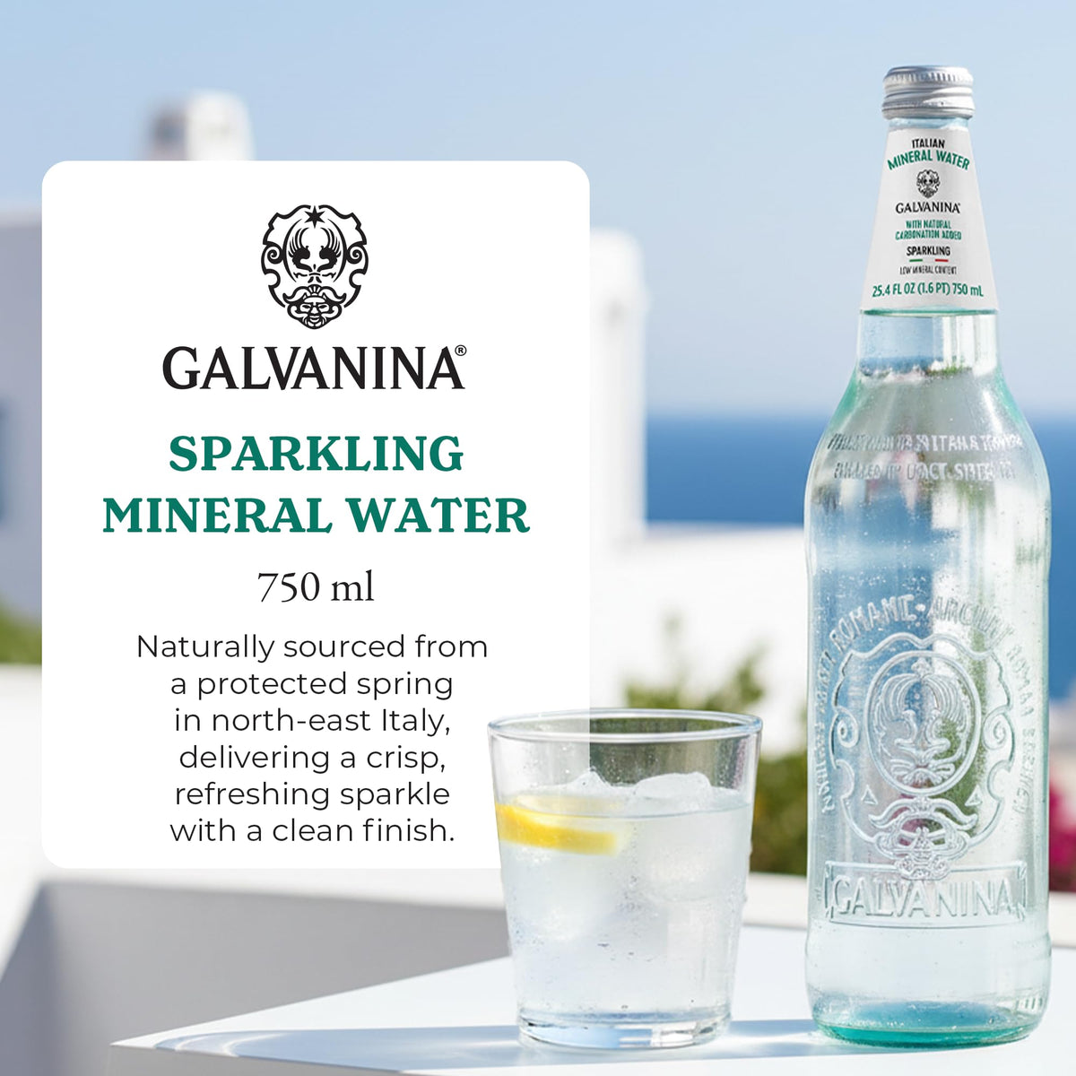 Sparkling Mineral Water 750 ml 12 Glass Bottles R3496
