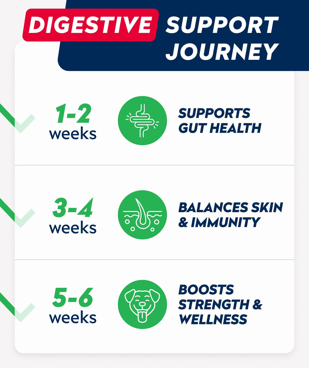 Dog Probiotics with Enzymes and Fiber R17190