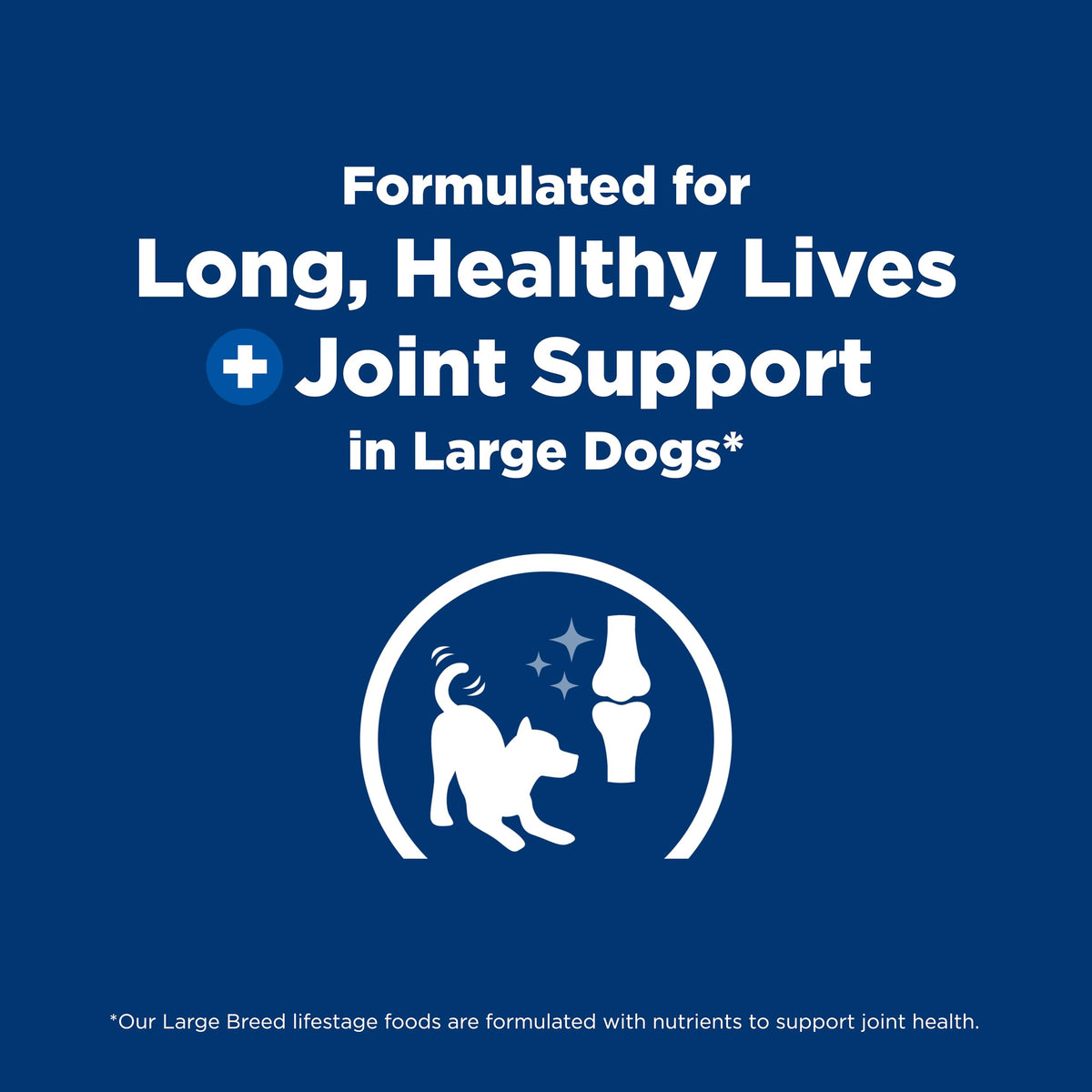 Large Breed Dry Dog Food J785075