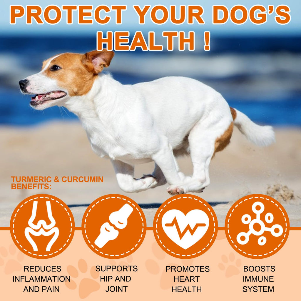180 Count Turmeric Curcumin Tablets for Dogs K548