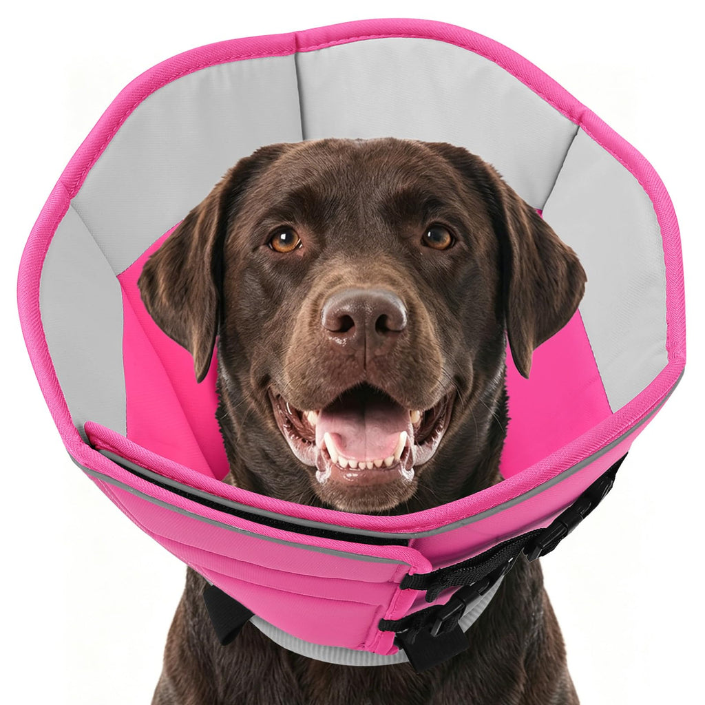 Soft Dog Cone Collar A6788