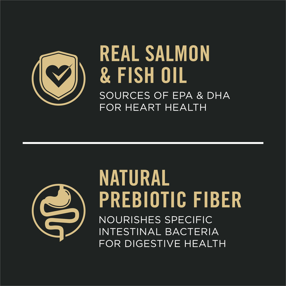 Salmon Puppy Dog Food 24 lb Bag P208777