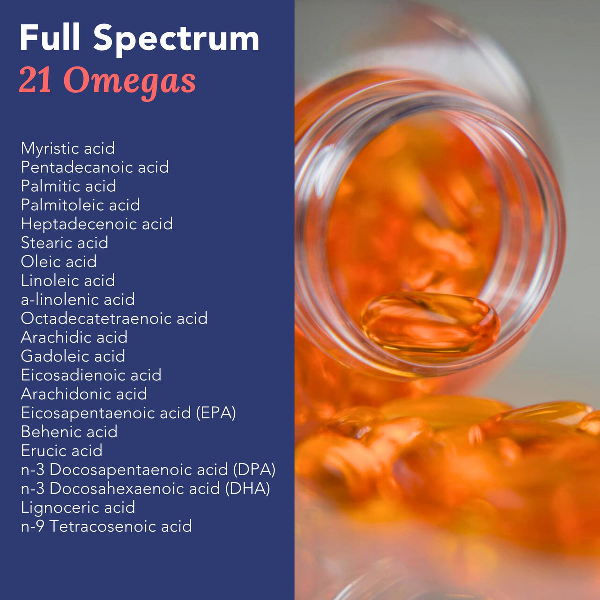 Omega 3 Fish Oil 1000mg 90 Capsules U3735