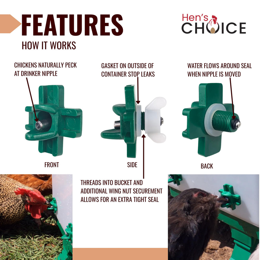 5 Gallon Chicken Waterer with 8 Nipples T73326