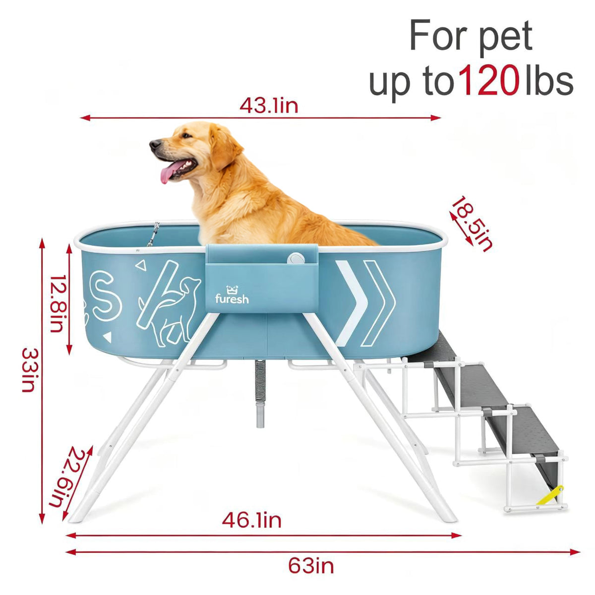 Foldable Dog Washing Station with Stairs E2305