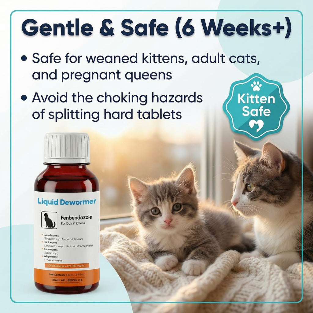 Liquid Fenbendazole Dewormer for Cats & Kittens 100ml O80572