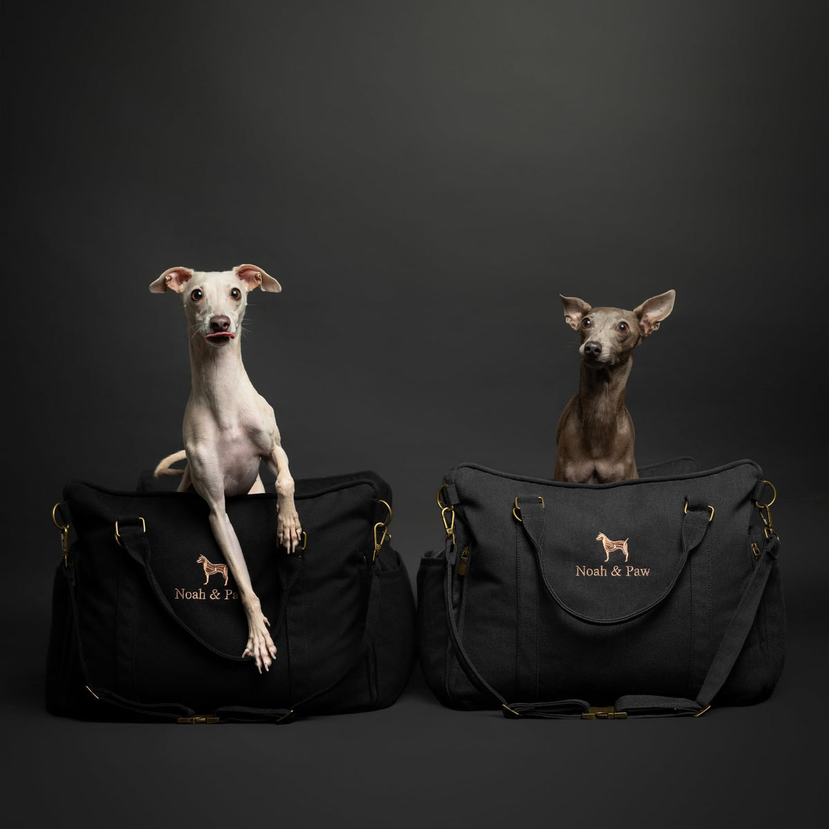 Canvas Dog Car Seat Booster J356