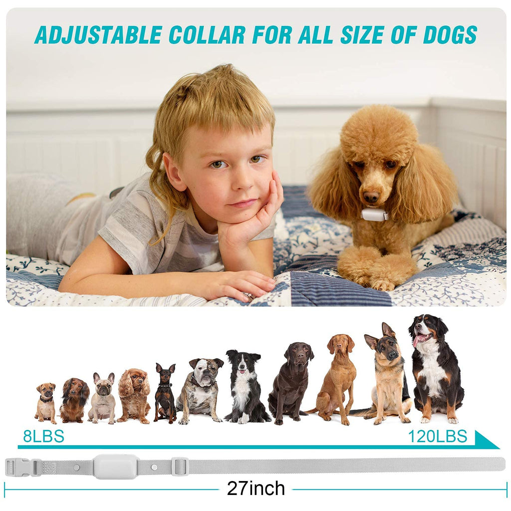 Waterproof Rechargeable Dog Training Collar with Remote H8694