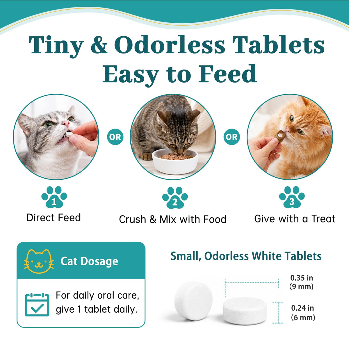 Cat Dental Care Oral Health I39779