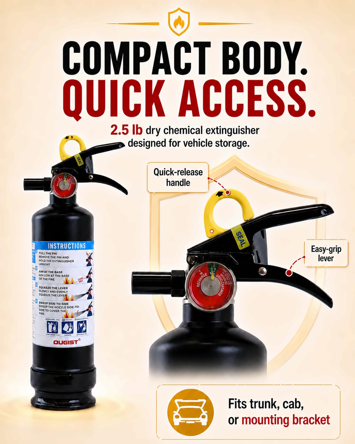 Car Fire Extinguisher 2.5lb Dry Chemical 1 Pack Y3509