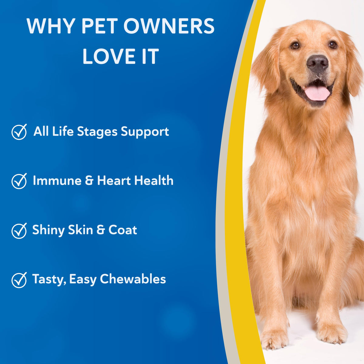 Canine Chewable Multivitamin Tablets 365ct B925