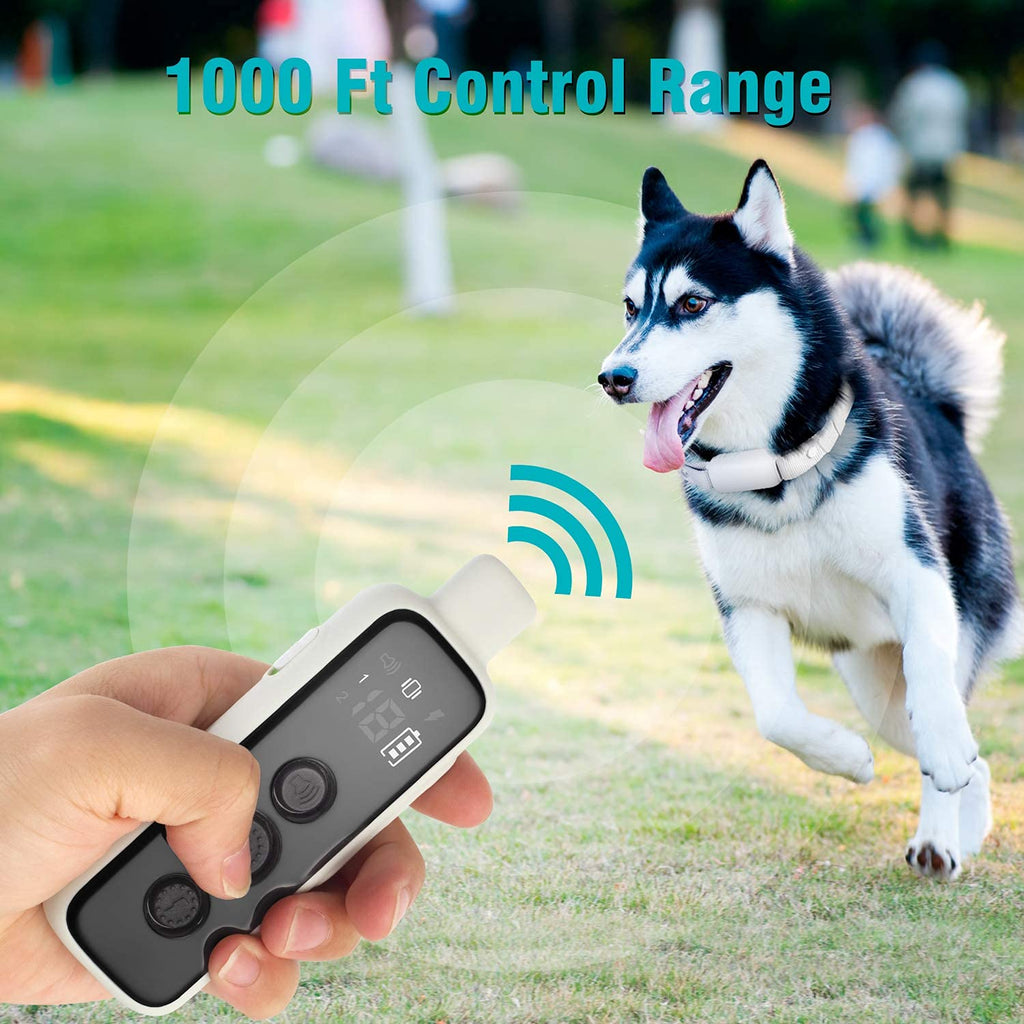 Waterproof Rechargeable Dog Training Collar with Remote H8694