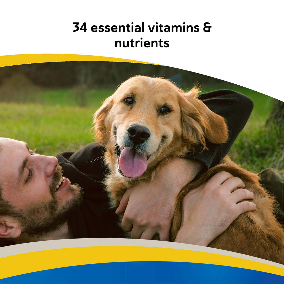 Canine Chewable Multivitamin Tablets 365ct B925