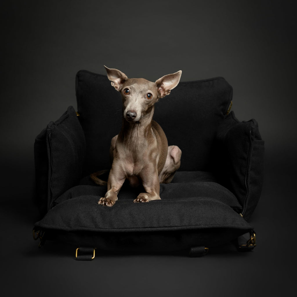 Canvas Dog Car Seat Booster J356