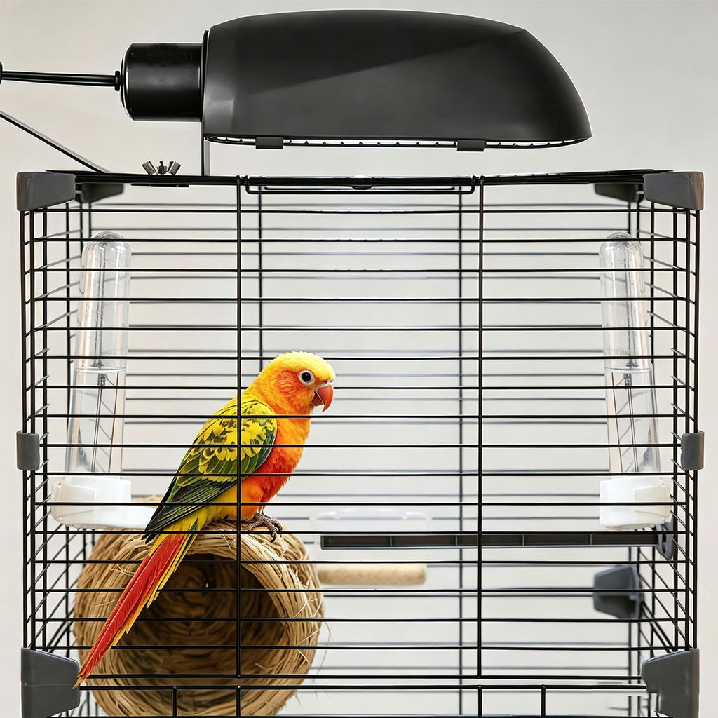 Bird Cage Light Fixture Combo Kit with Bulb V340185