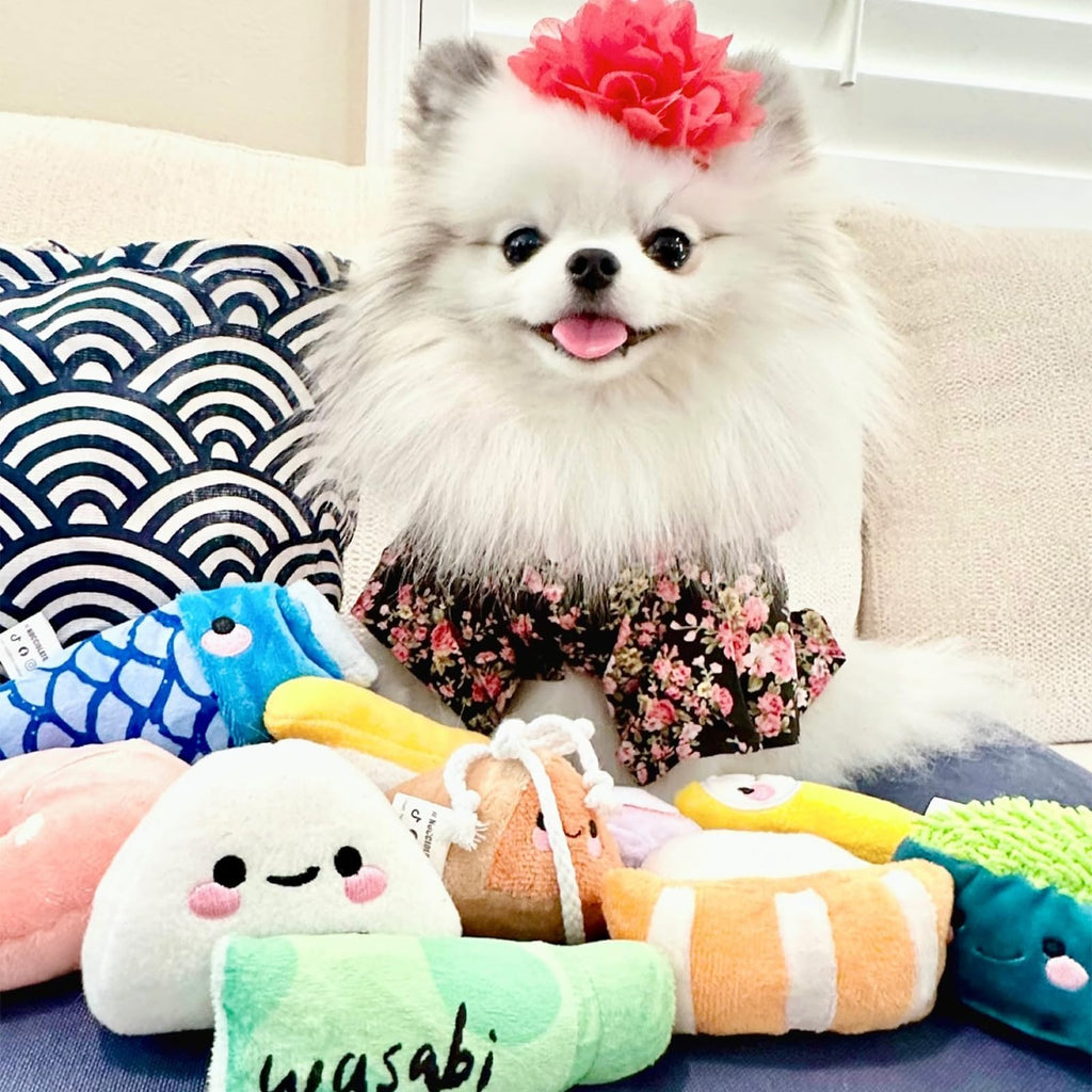 10 PC Squeaky Plush Dog Toys with Bag S67689