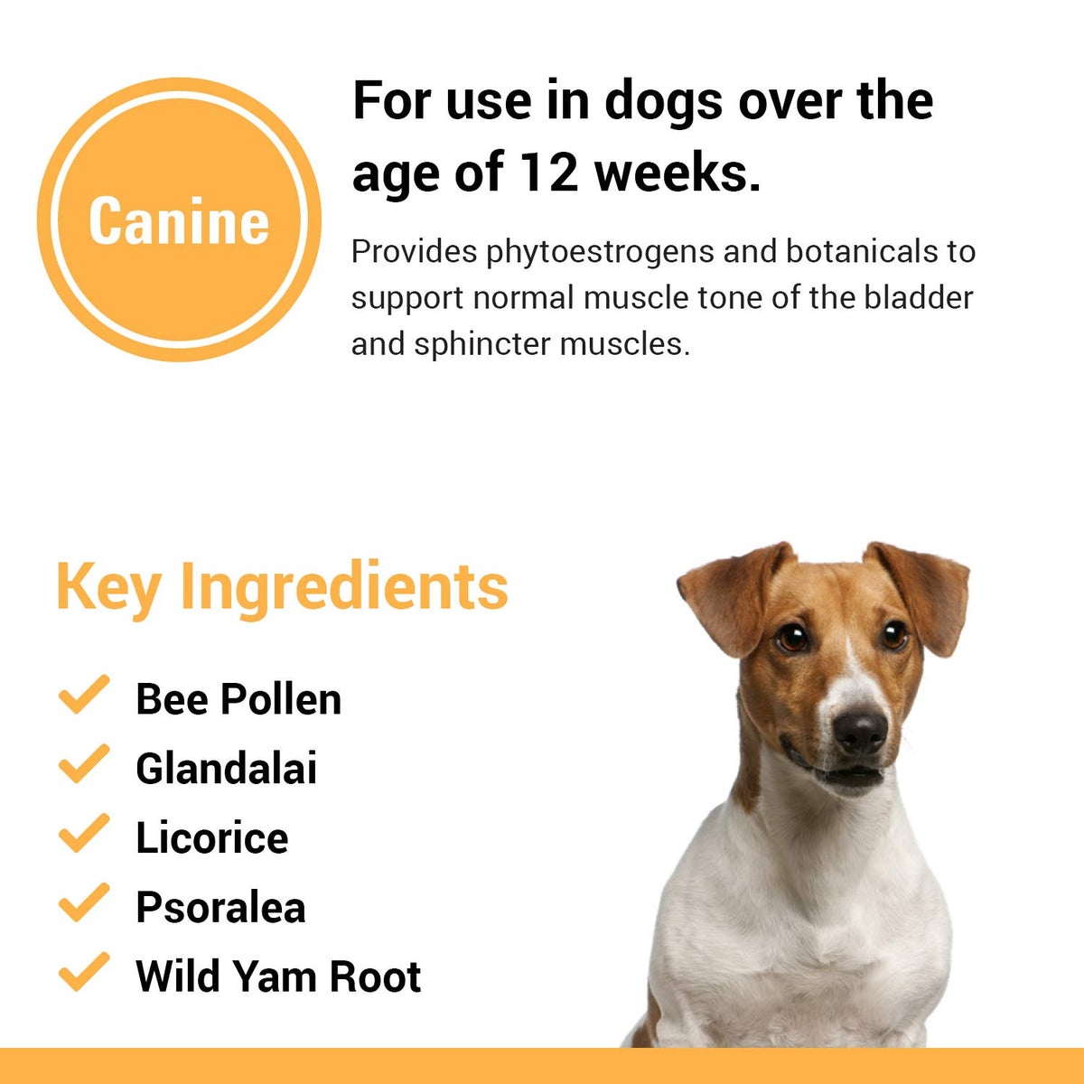 Dog Supplement 120 Count P15310