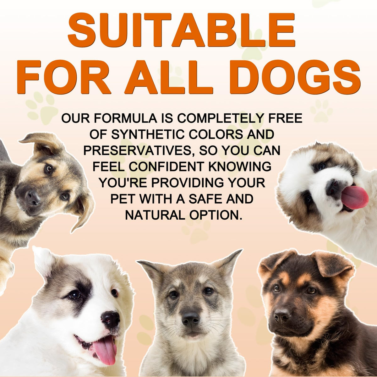 180 Count Turmeric Curcumin Tablets for Dogs K548