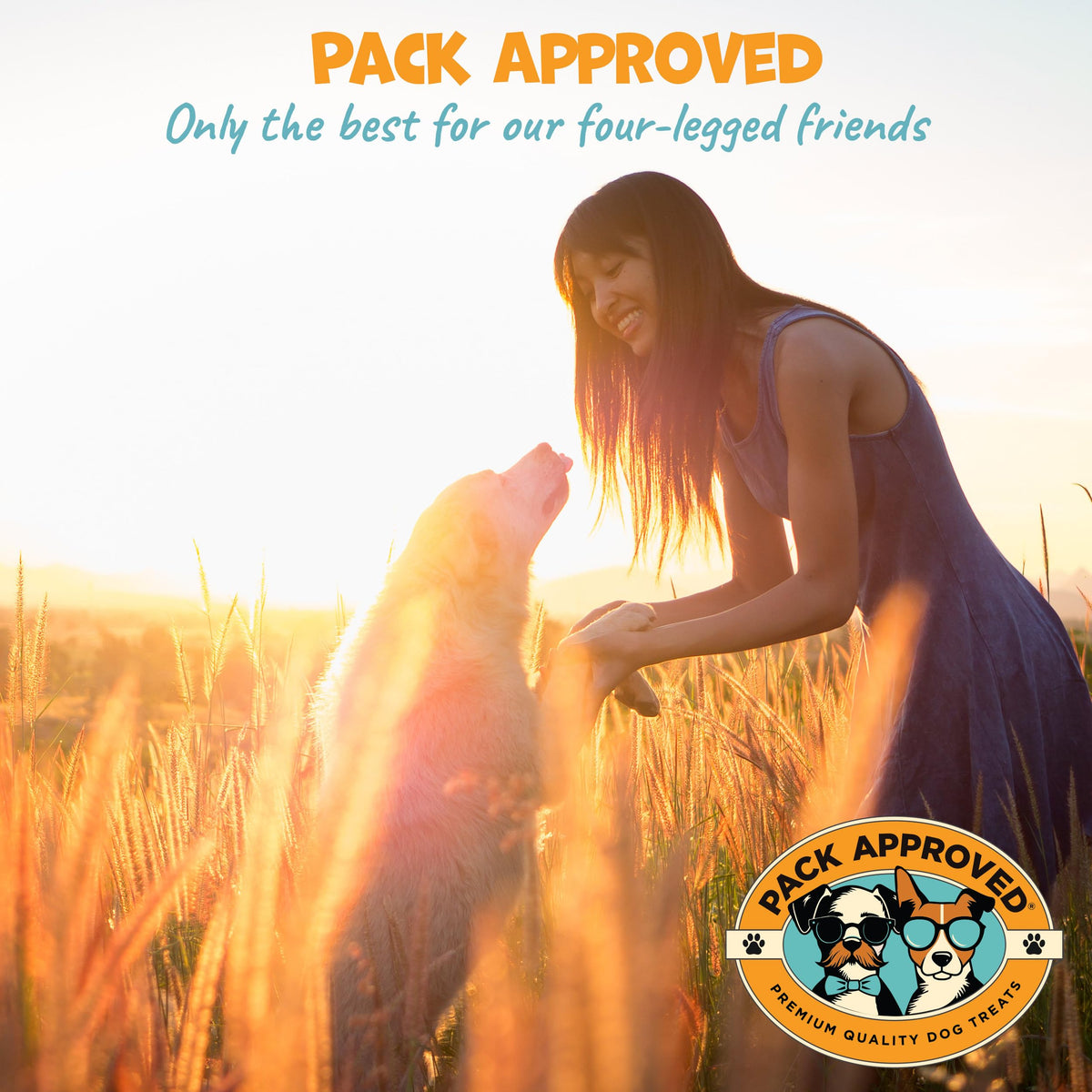 Peanut Butter Pill Wrap for Dogs 4.2oz Y809581