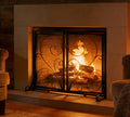 Black Metal Mesh Fireplace Screen with Double Doors I78584