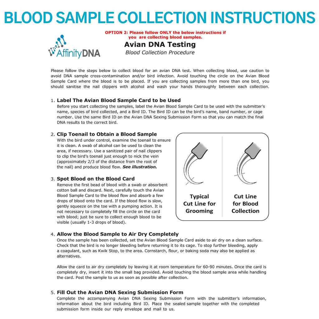 Bird Gender DNA Test Kit R2006