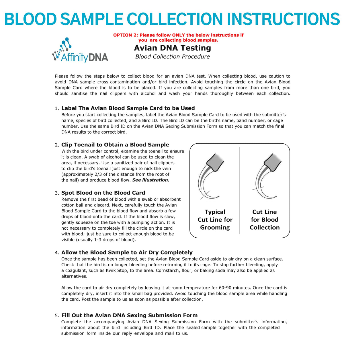 Bird Gender DNA Test Kit R2006