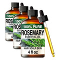 Rosemary Essential Oil 4 Fl Oz Pack of 3 J76474