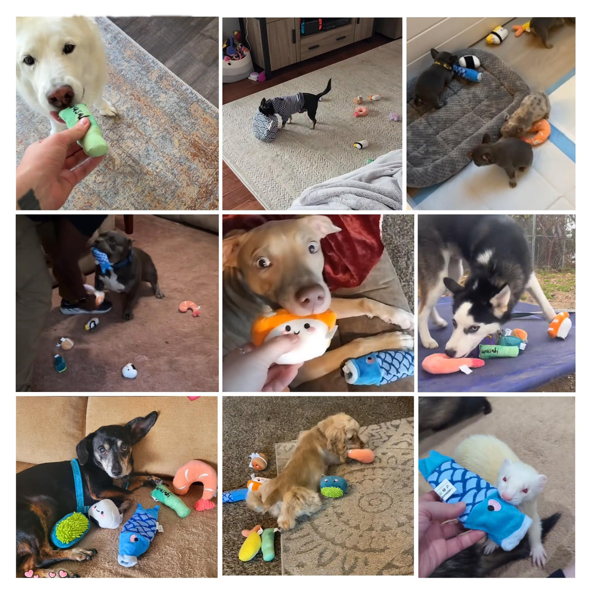 10 PC Squeaky Plush Dog Toys with Bag S67689