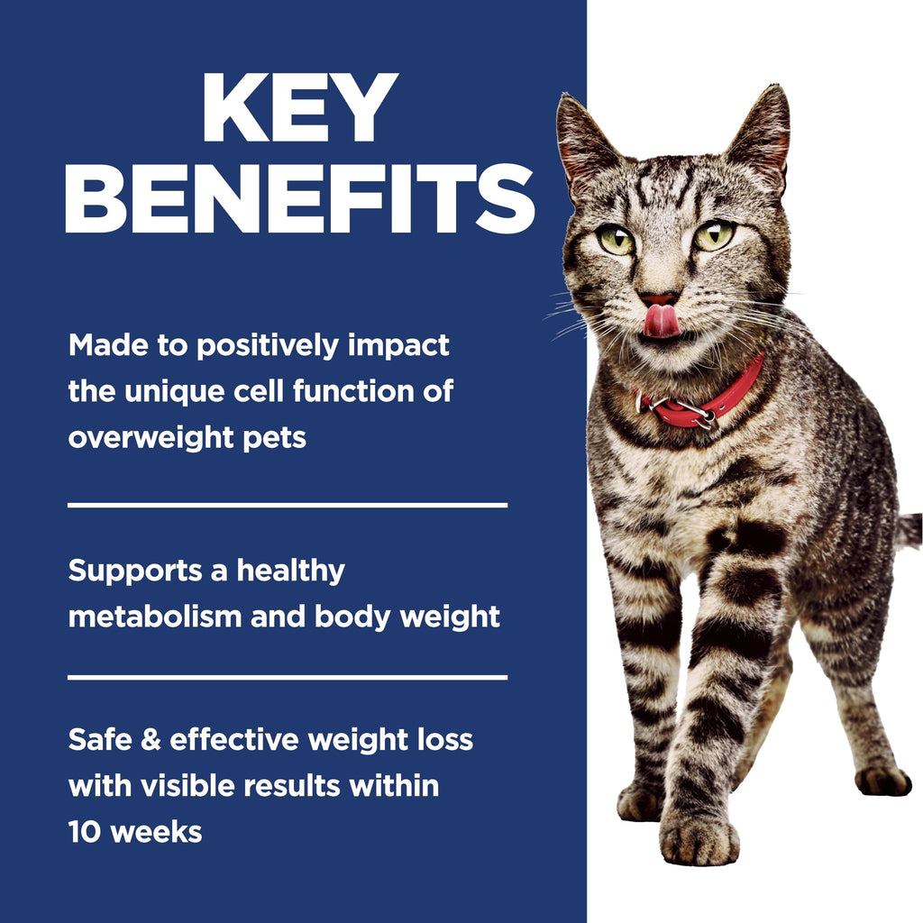 Adult Perfect Weight Dry Cat Food C95575