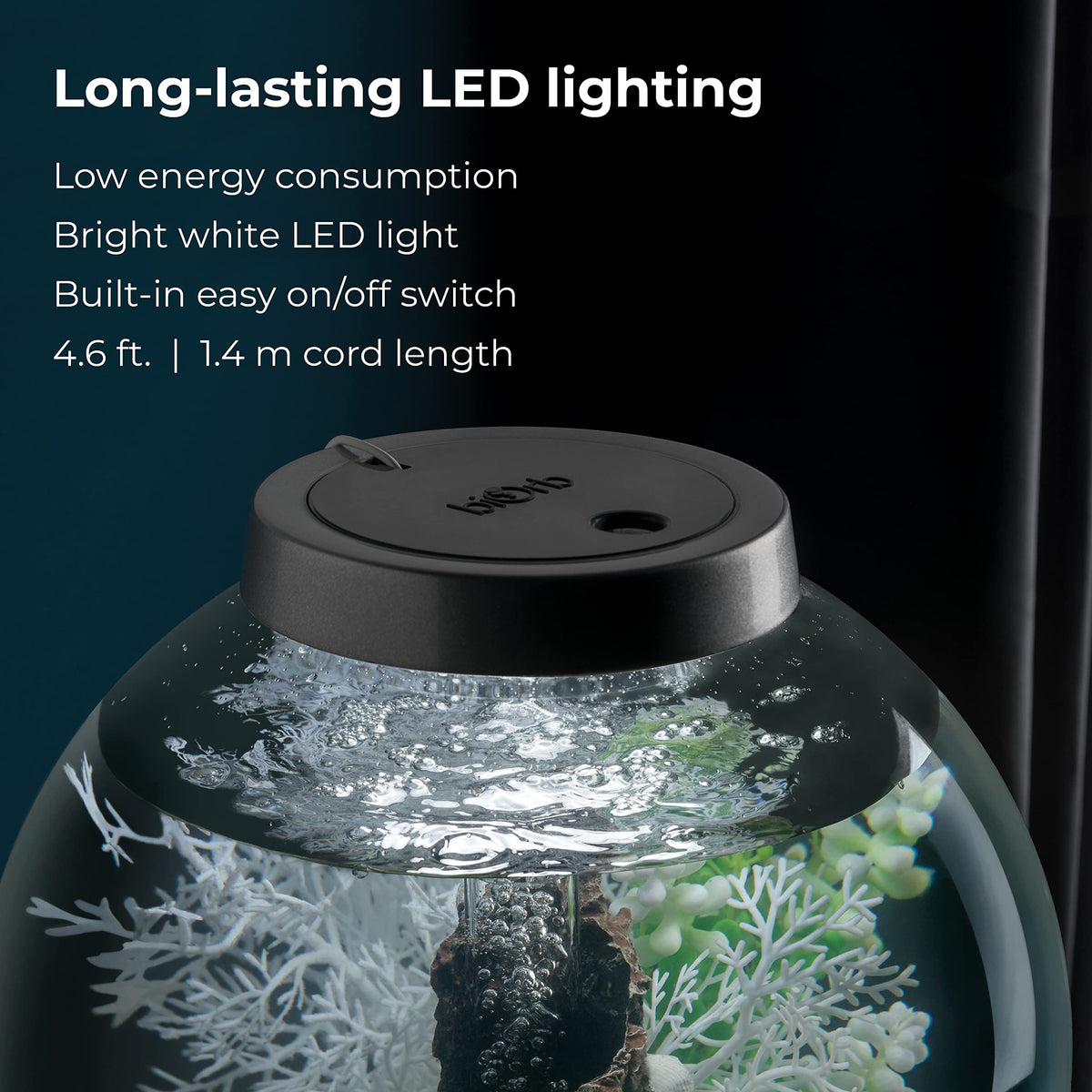 15 Acrylic Aquarium with White LED Lights N77286