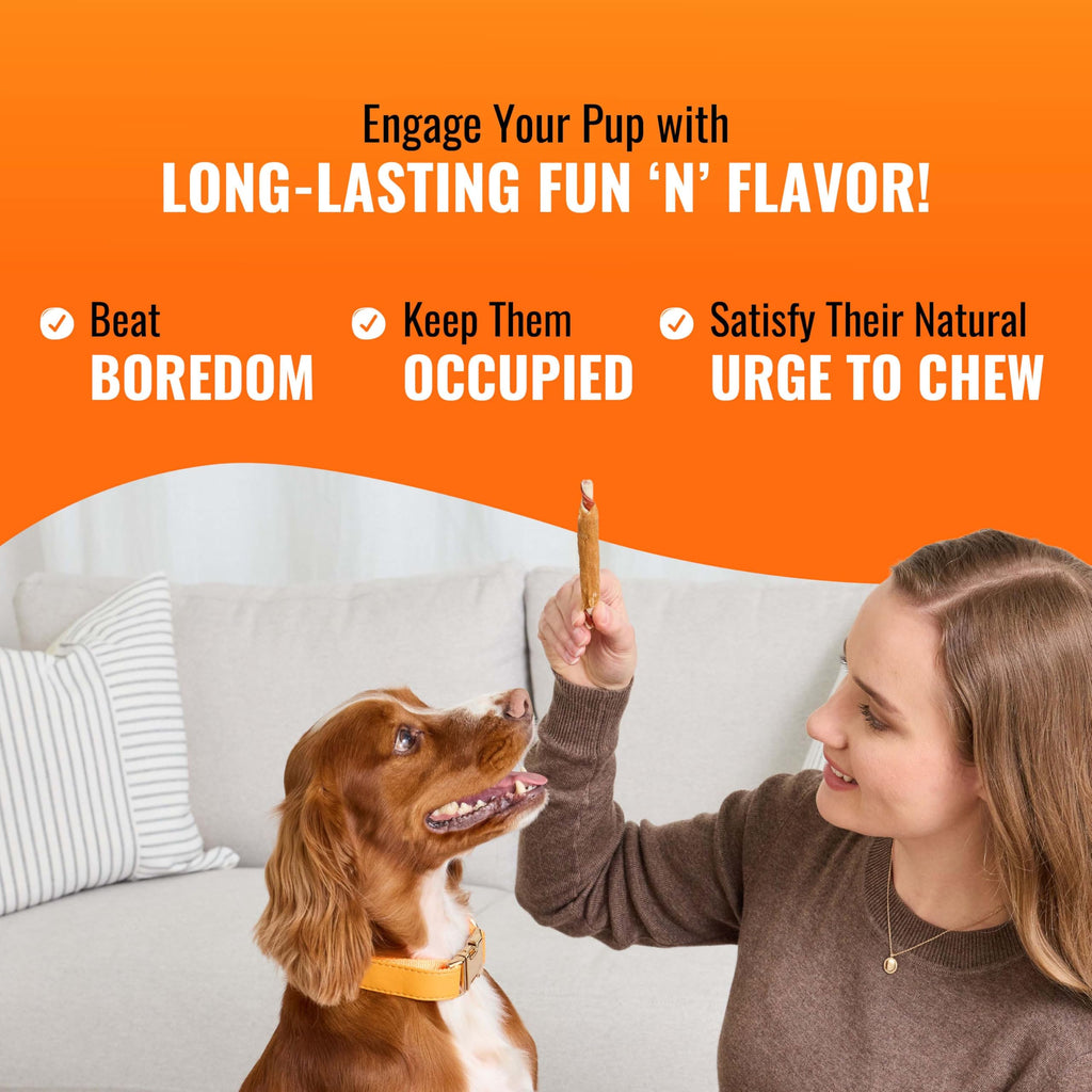 Long-Lasting Dog Treat for Large Dogs, 6 Count E313